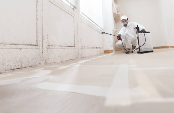 24/7 Emergency Black Mold Remediation experts in Livingston, NJ