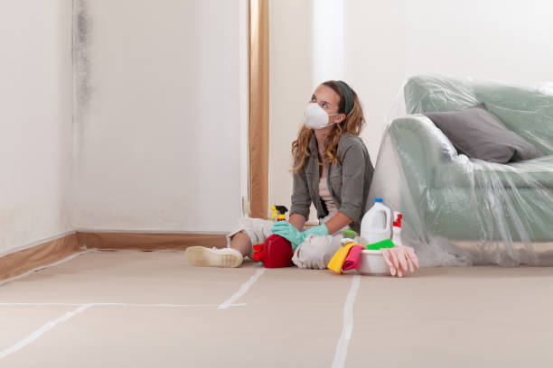 Reliable Black Mold Remediation contractor in Livingston, NJ by Mold Remediation HQ